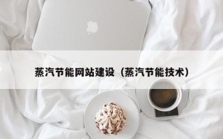 朔州蒸汽节能网站建设（蒸汽节能技术）